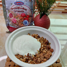 Load image into Gallery viewer, Lactation/Breastfeeding Granola (Dr Annie Breast Milk Maker)
